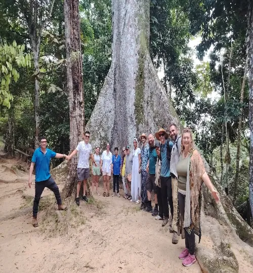 Expedición Selva Virgen y Árbol Gigante Lupuna