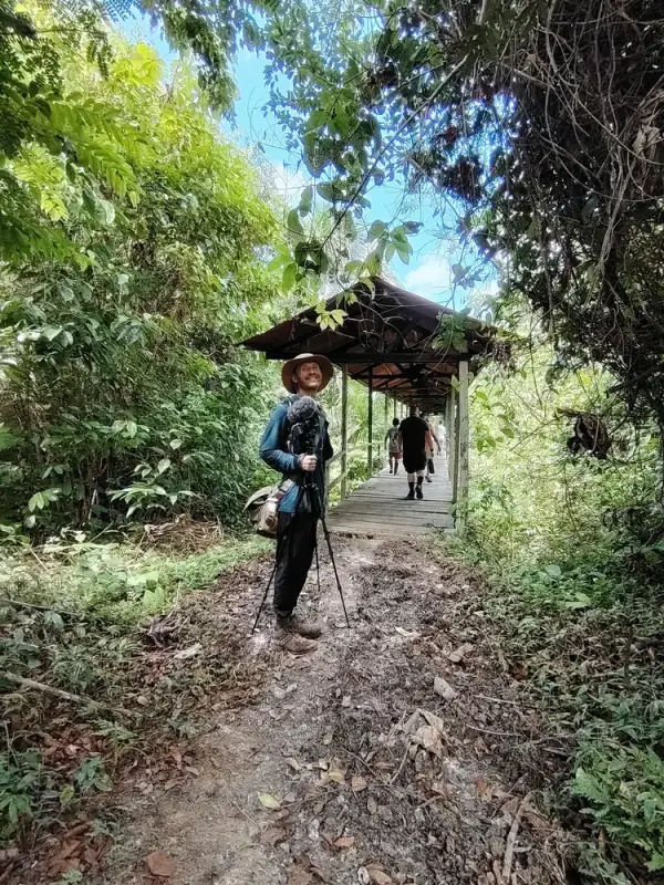 Sendero de caminata en la selva