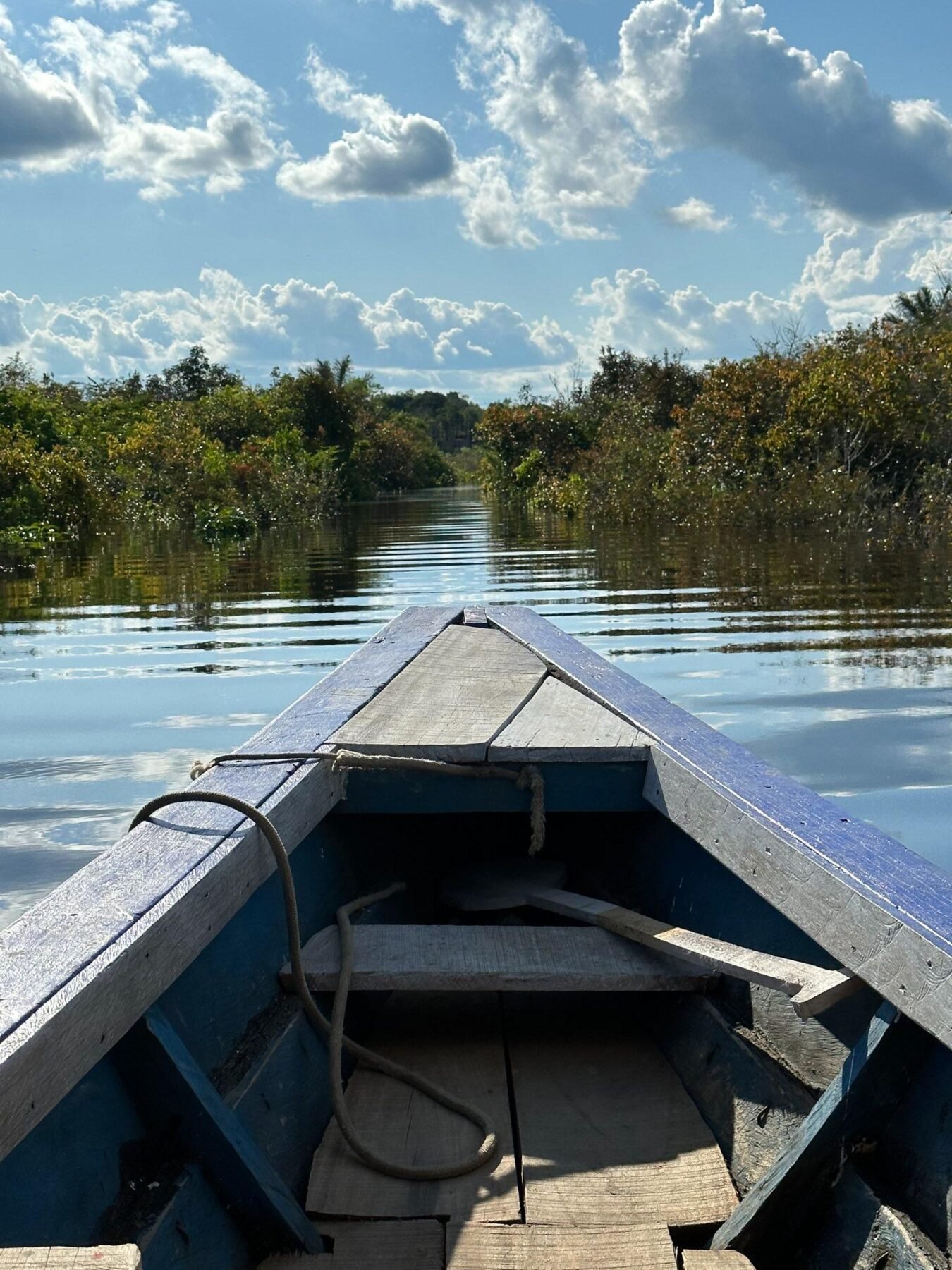 Exploración cultural y espiritual en la Amazonía con Monteros