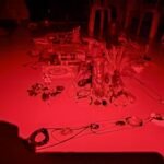 Altar ceremonial amazónico con elementos espirituales de la selva y plantas sagradas.