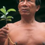 Don Antonio Montero Pisco