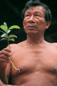 Don Antonio Montero Pisco